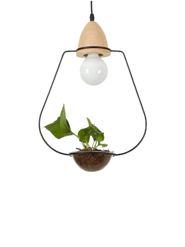 BotanicBeam - Rustic Plant Pendant Light with Wood Base
