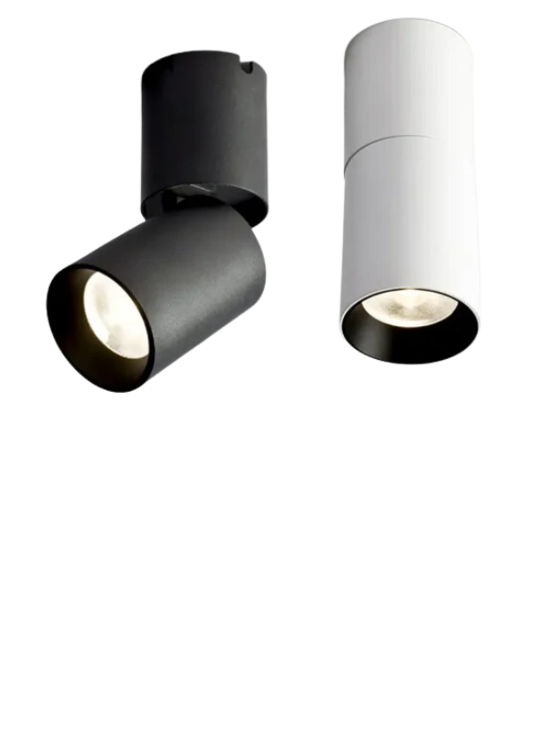 FlexiBeam - Adjustable LED Downlight